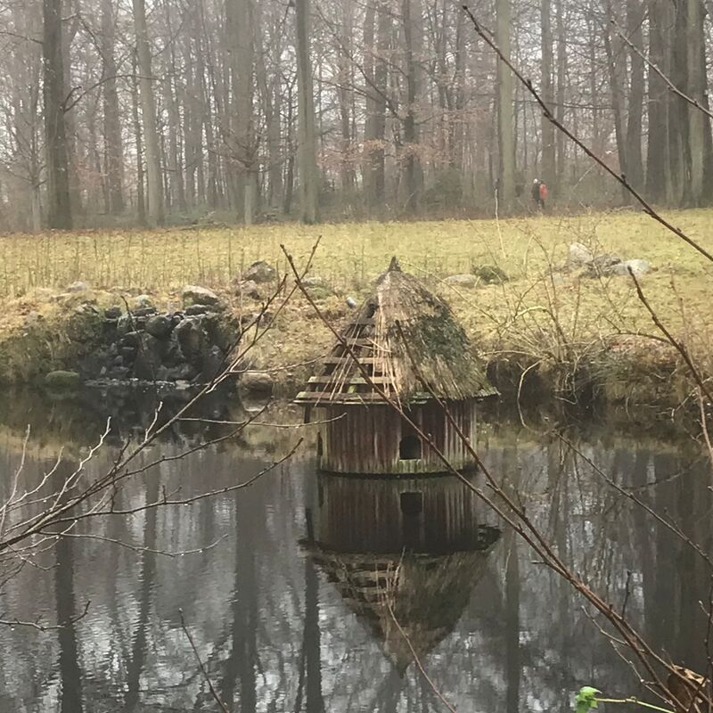 Ein kleines Entenhaus am Ufer eines Teiches, umgeben von Bäumen und Gras.