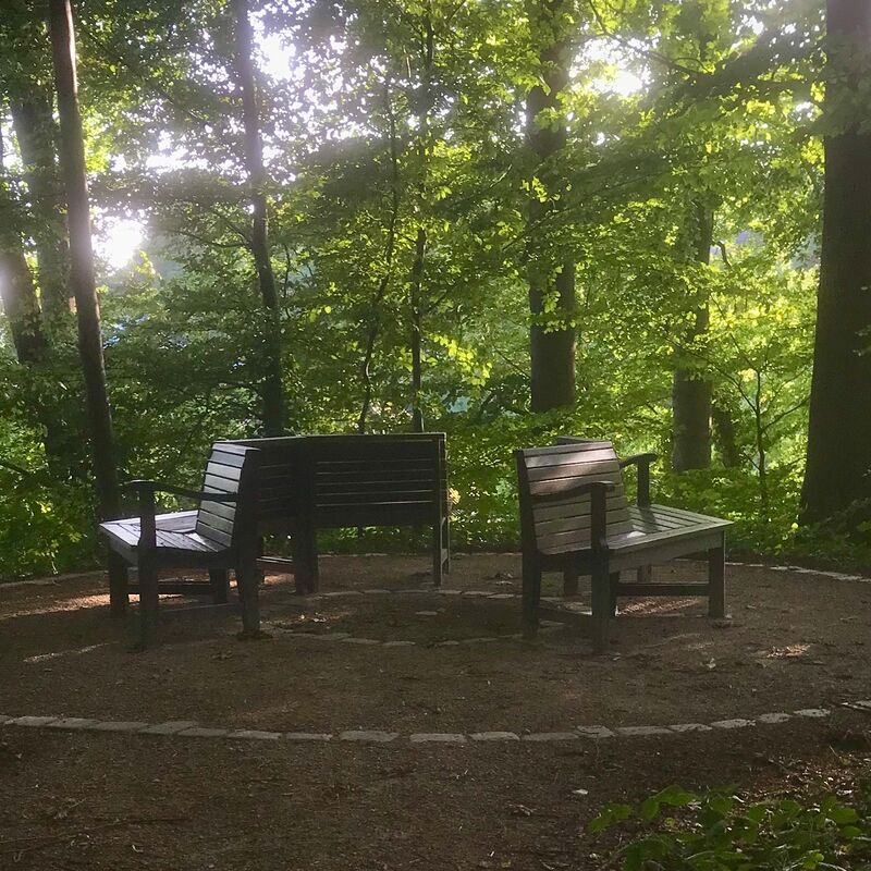 Zwei Bänke stehen in der Mitte eines runden Weges.