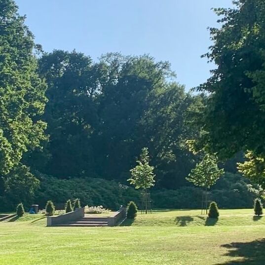 Ein Park mit einer grünen Wiese und mehreren Bäumen im Hintergrund