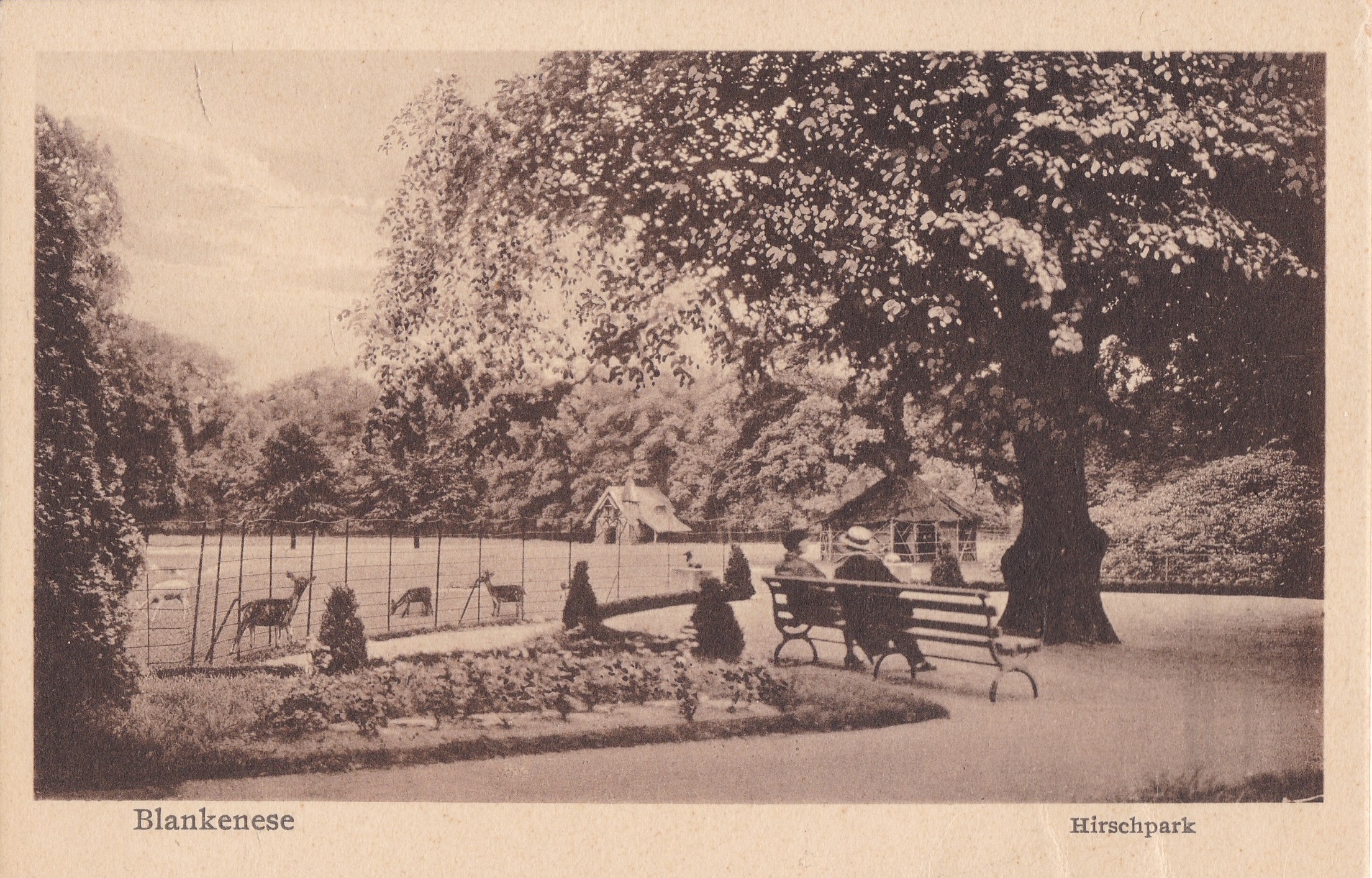 Ansichtskarte - Gehege bei der Lindenterrasse
