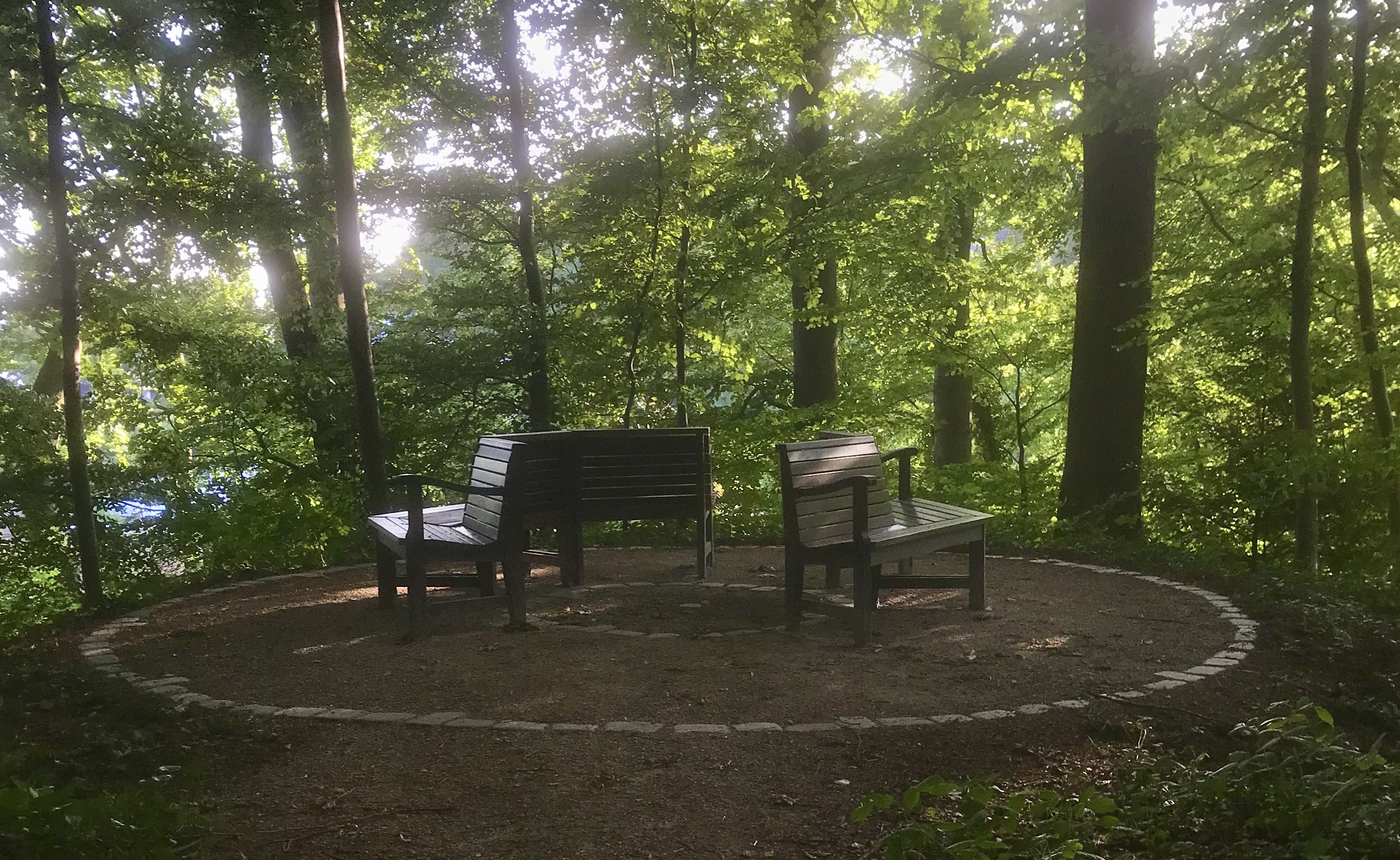 Lindenrondell Juni 2025