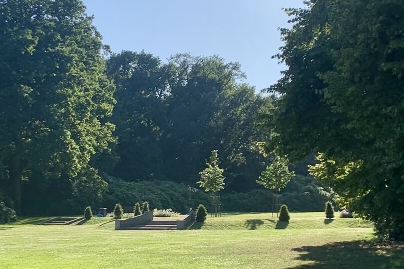 Lindenterrasse Juni 2025