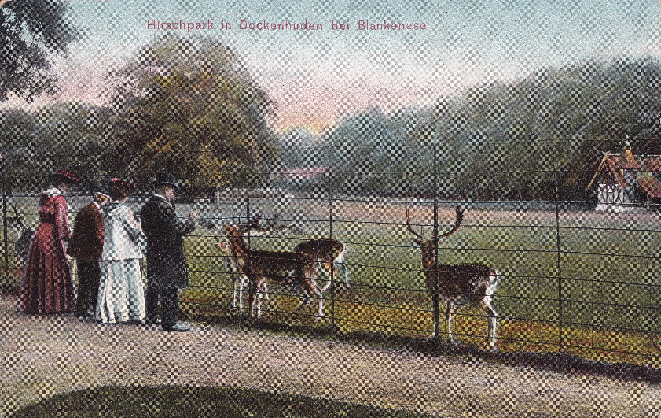 Ansichtskarte Wildgehege um 1900